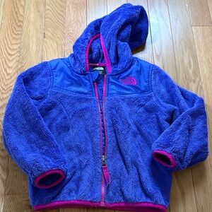 The North Face Vibrant Fleece Hoodie